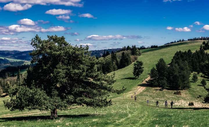 Photo du parcours de Pieniny by UTMB - Chyża Durbaszka® 2027