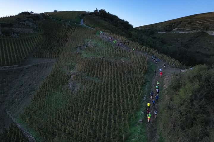 Photo du parcours de Trail en Côte-Rôtie - L'AOC 2026