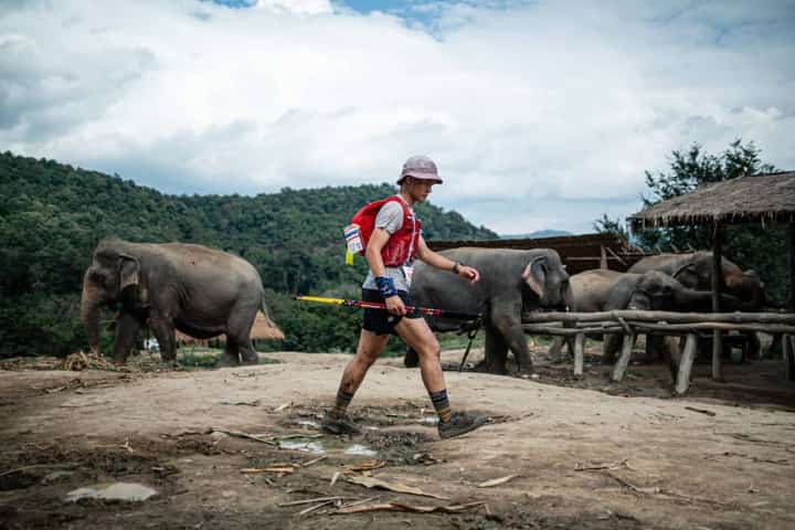 Photo du parcours de Chiang Mai Thailand - ELEPHANT 100 2026