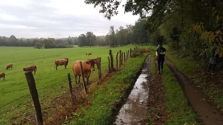 Photo du parcours de Saint-Just-Le-Martel - 13km-14083521 2026