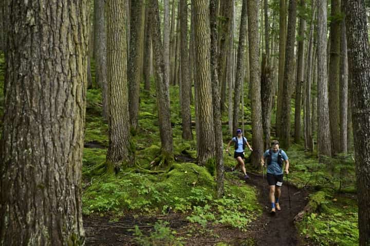 Photo of the Ultra Trail Whistler - 25K 2027 race course