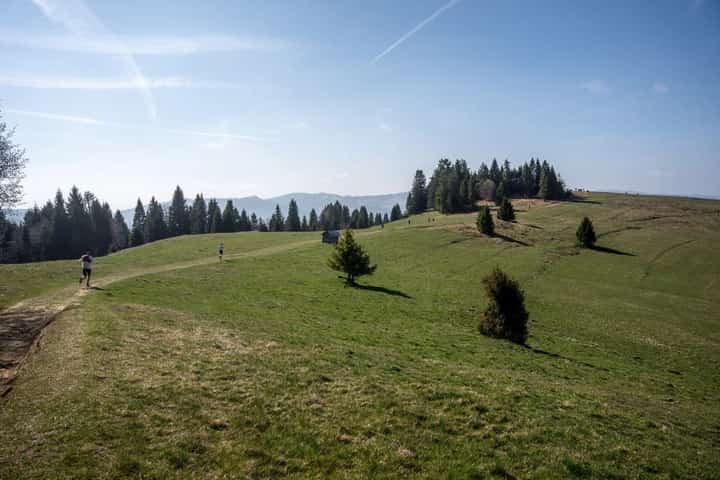 Photo du parcours de Pieniny by UTMB - Żwawe Wierchy® 2027