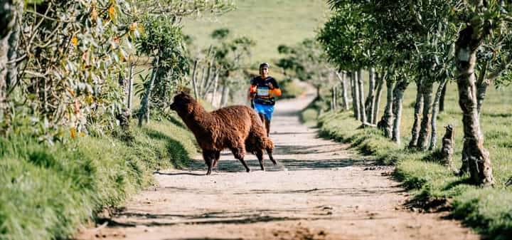Photo du parcours de Quito Trail Ecuador by UTMB® - 20K Quinde® 2027