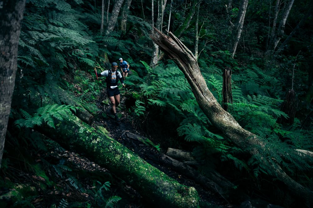 Photo du parcours Mountain Ultra Trail - MUT Challenge by UTMB 2027