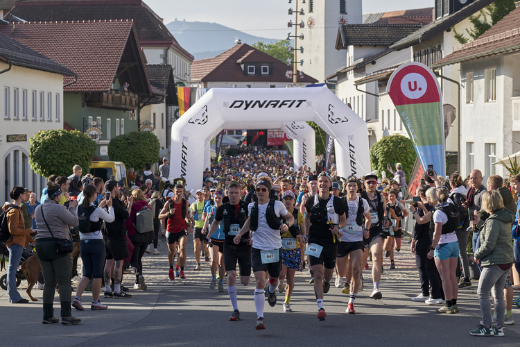 Photo de couverture — U. Trail Lamer Winkel (U.TLW) - Osser-Riese 25k 2027, 23 km, D+ 1022 m
