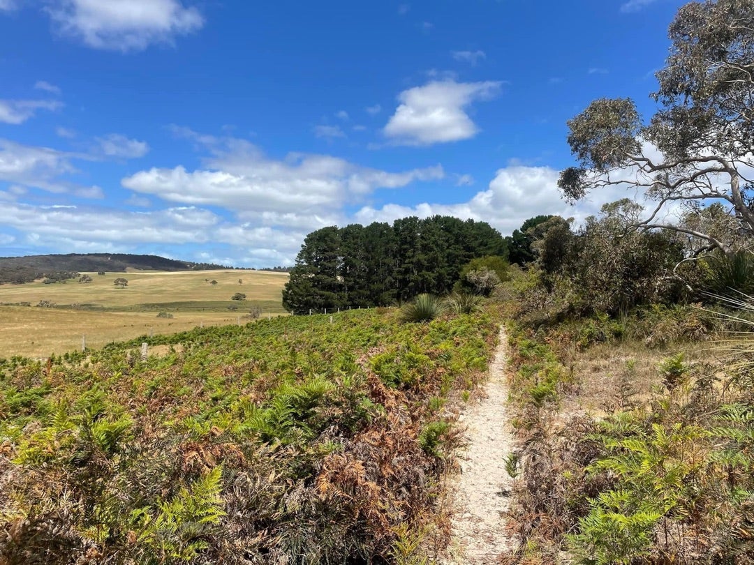 Photo de couverture — Heysen 115 2026, 113 km, D+ 1829 m