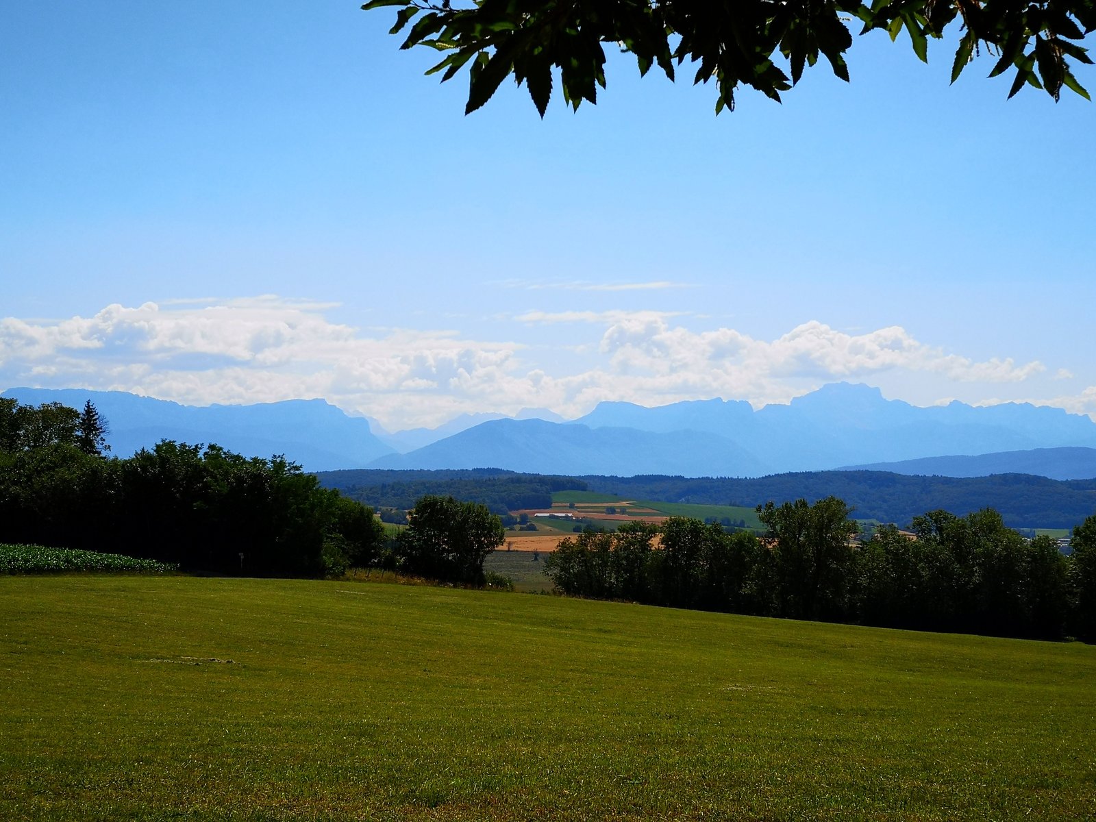 Photo de couverture — Saint Eusèbe - Trail du Four à Pain 2026, 15 km, D+ 539 m
