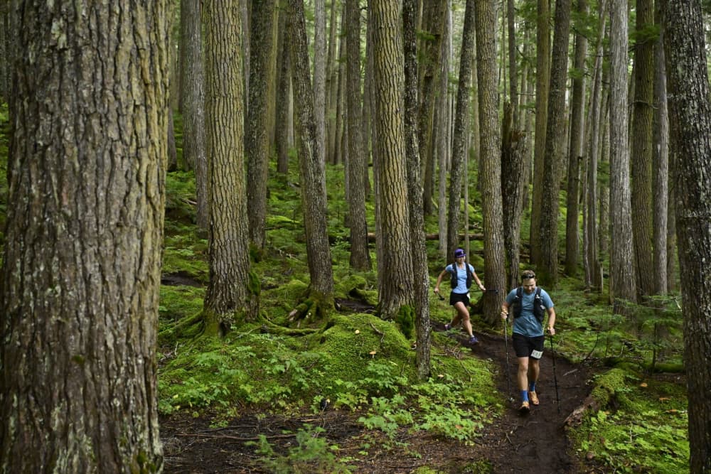 Ultra Trail Whistler - 25K, 25 km — le parcours dont cette page mesure les 5 tronçons