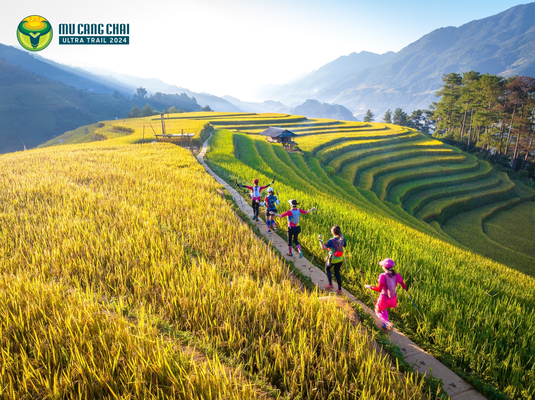 Mu Cang Chai Ultra Trail 55K 2026 のカバー写真 — 56 km、獲得標高 2850 m