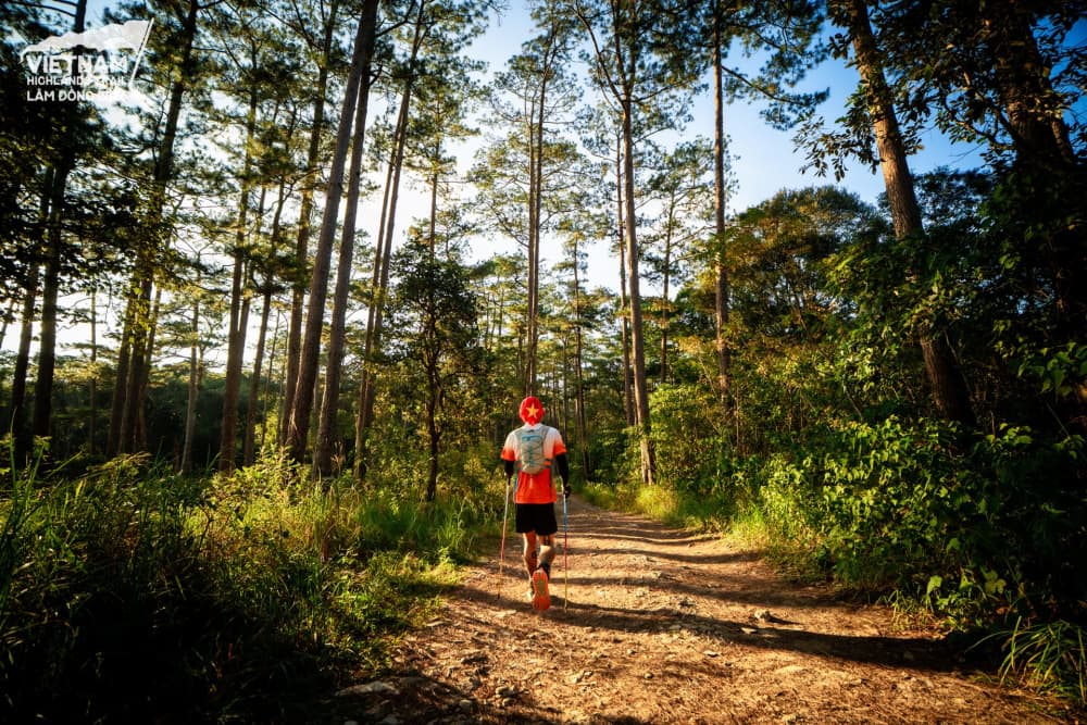 Vietnam Highlands Trail by UTMB - 10K TUYENLAM 2027 赛道照片
