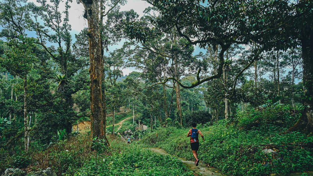 Malaysia Ultra-Trail - MALAYSIA100 2027 赛道照片