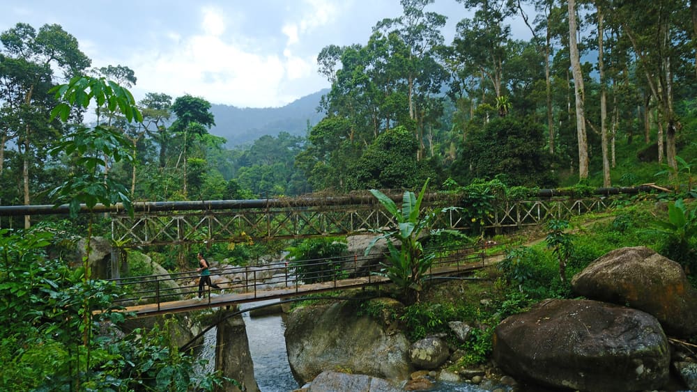 Malaysia Ultra-Trail - MALAYSIA50, 54 km — der Parcours, dessen 11 Abschnitte diese Seite misst