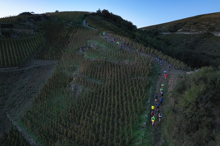Photo du parcours Trail en Côte-Rôtie - La Verticale 2026