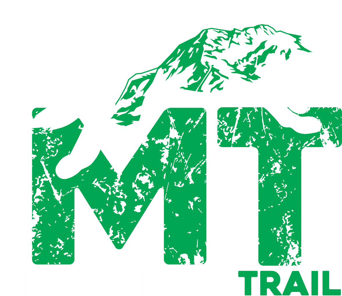 Foto der Strecke Morobbia Trail - Trail del Lupo K33 2500m D+ 2027