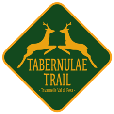 Foto del recorrido Tabernulae Trail - 20km 2026