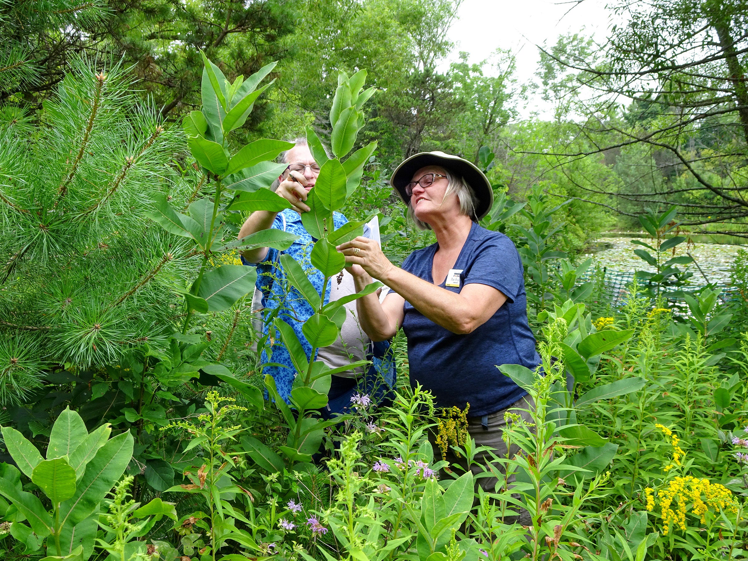 Photo of the The Naturalist 2026 course