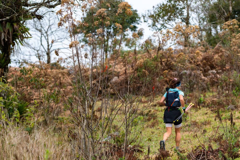 Paraty Brazil - PTR 58, 58 km — le parcours dont cette page mesure les 6 tronçons