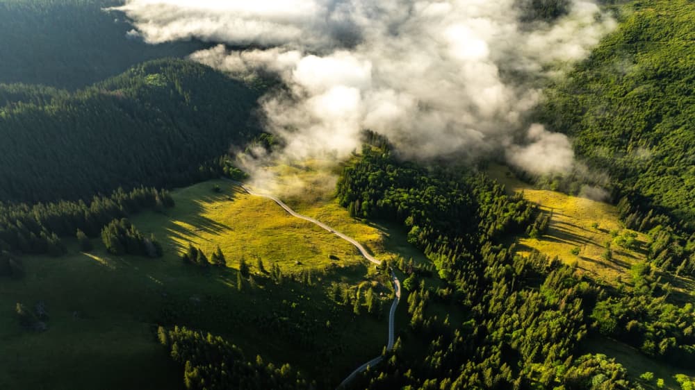 Bucovina Ultra Rocks by UTMB - LADY'S ROCKS, 48 km — le parcours dont cette page mesure les 10 tronçons