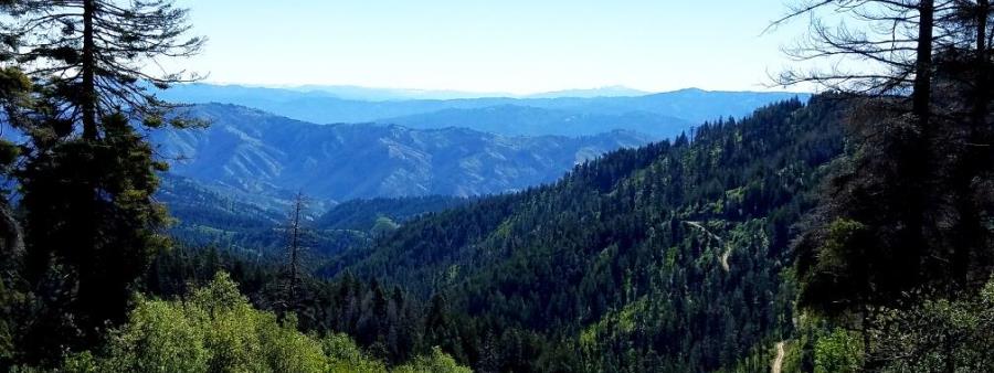 Photo of the Bogus 50 Mile 2026 course