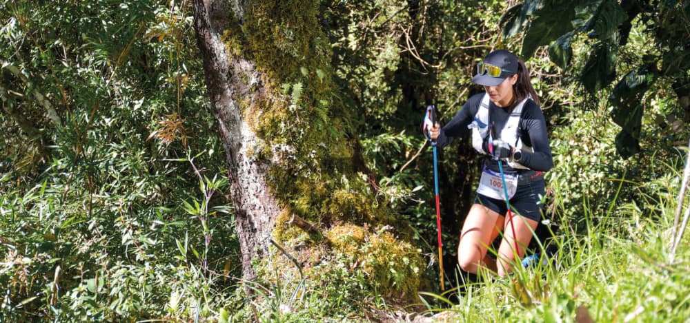 Quito Trail Ecuador by UTMB® - 50K Nutria, 53 km — le parcours dont cette page mesure les 7 tronçons