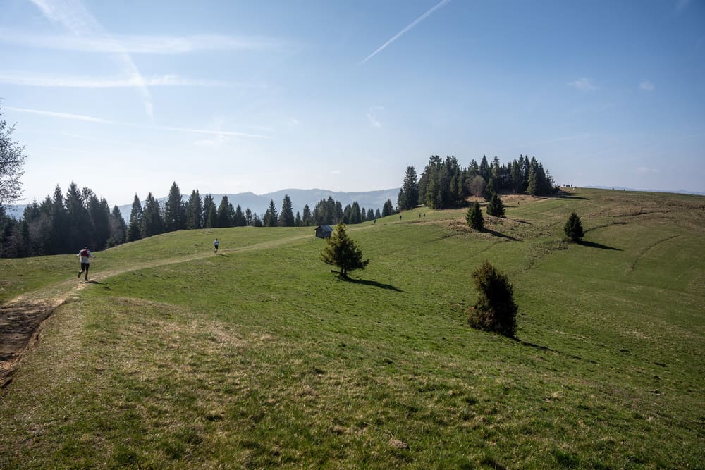 Photo de couverture — Pieniny by UTMB - Żwawe Wierchy 2027, 33 km, D+ 1593 m
