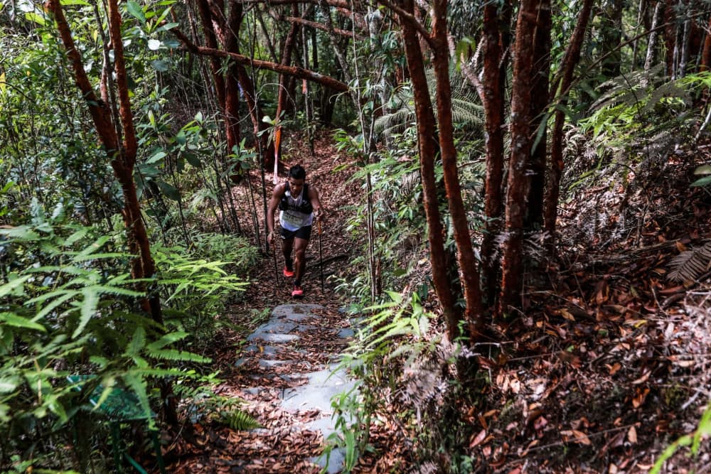 Amazean Jungle Thailand - BETONG 100M 2027 赛道照片