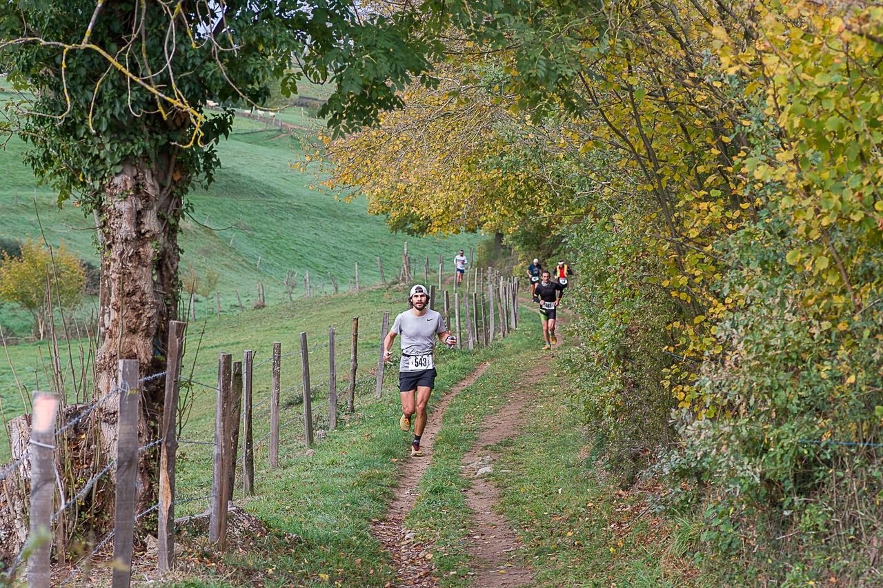 Photo de couverture — Saint Héand - 18km 2026, 19 km, D+ 600 m