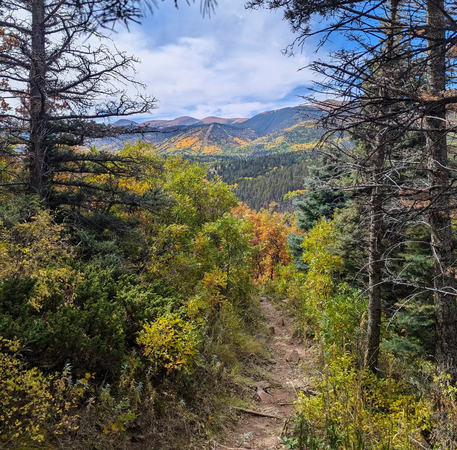 Photo of the WILD Wahatoya 50k 2026 course