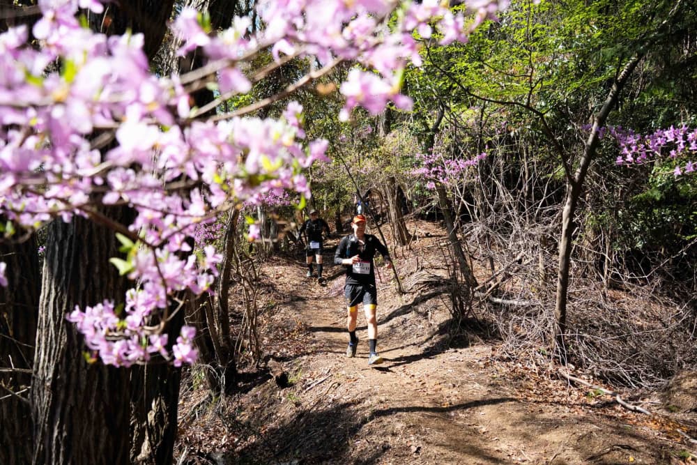 Hiroshima Ultra-Trail by UTMB® - HIROSHIMA 25K 2027 コースの写真