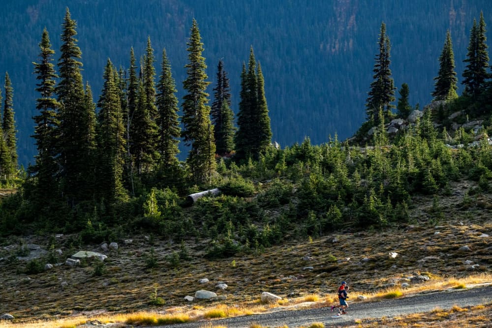 Ultra Trail Whistler - 50K, 50 km — le parcours dont cette page mesure les 7 tronçons