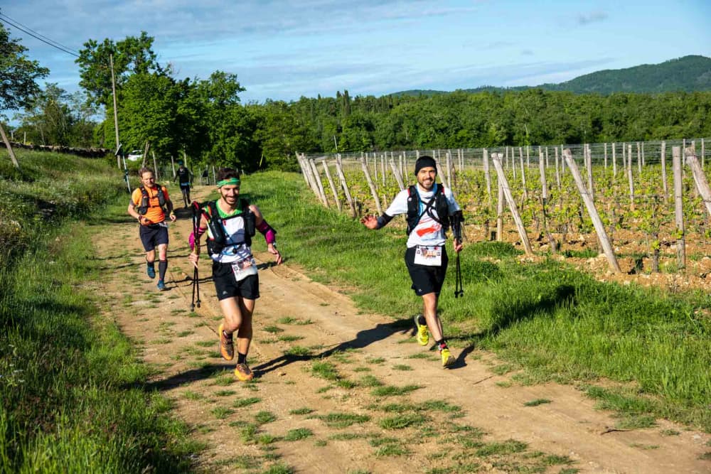 Foto del percorso Chianti Ultra Trail - Chianti Half Trail 2027