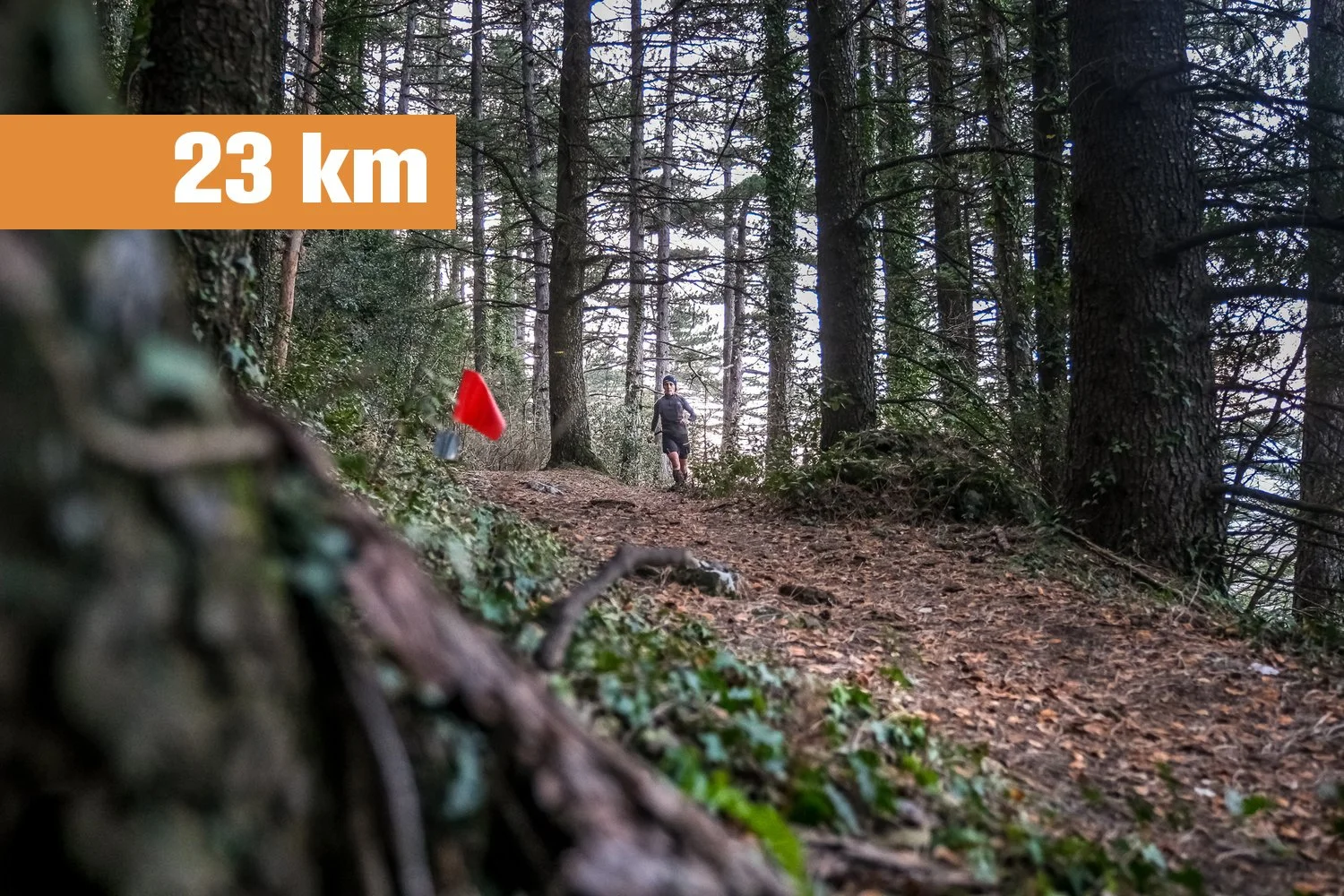 Photo de couverture — Ceven'Trail - Trail de l'Oignon Doux 2027, 23 km, D+ 1000 m