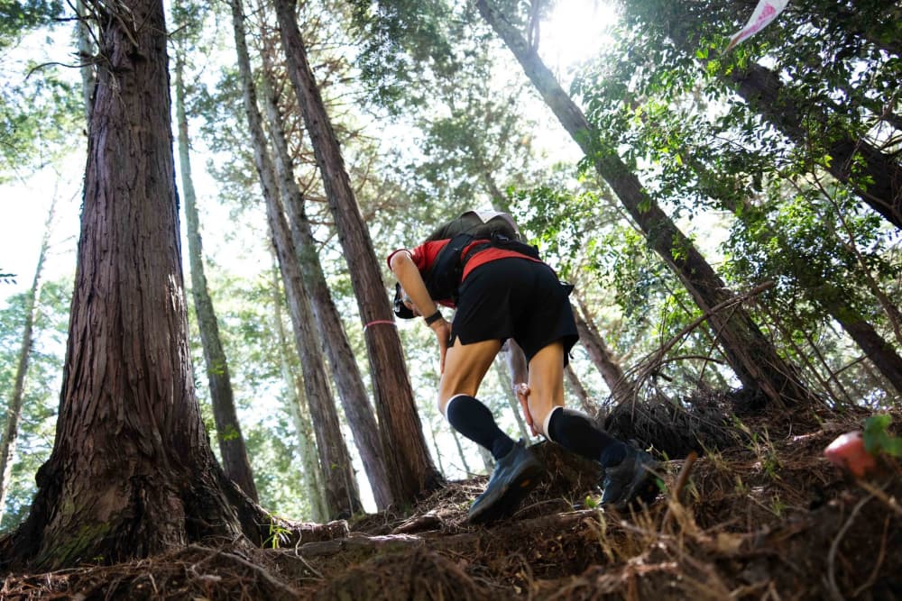 Hiroshima Ultra-Trail by UTMB® - HIROSHIMA 50K 2027 コースの写真